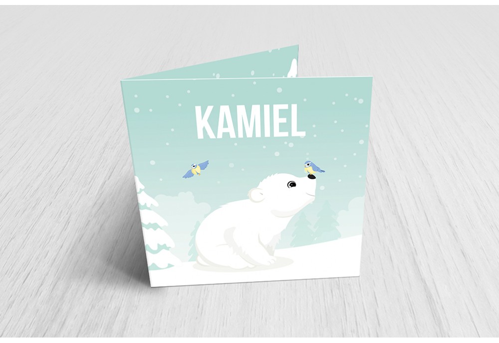 Ijsbeertje in de sneeuw Ijsbeertje in de sneeuw